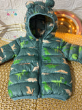 Chaqueta verde dinosaurios