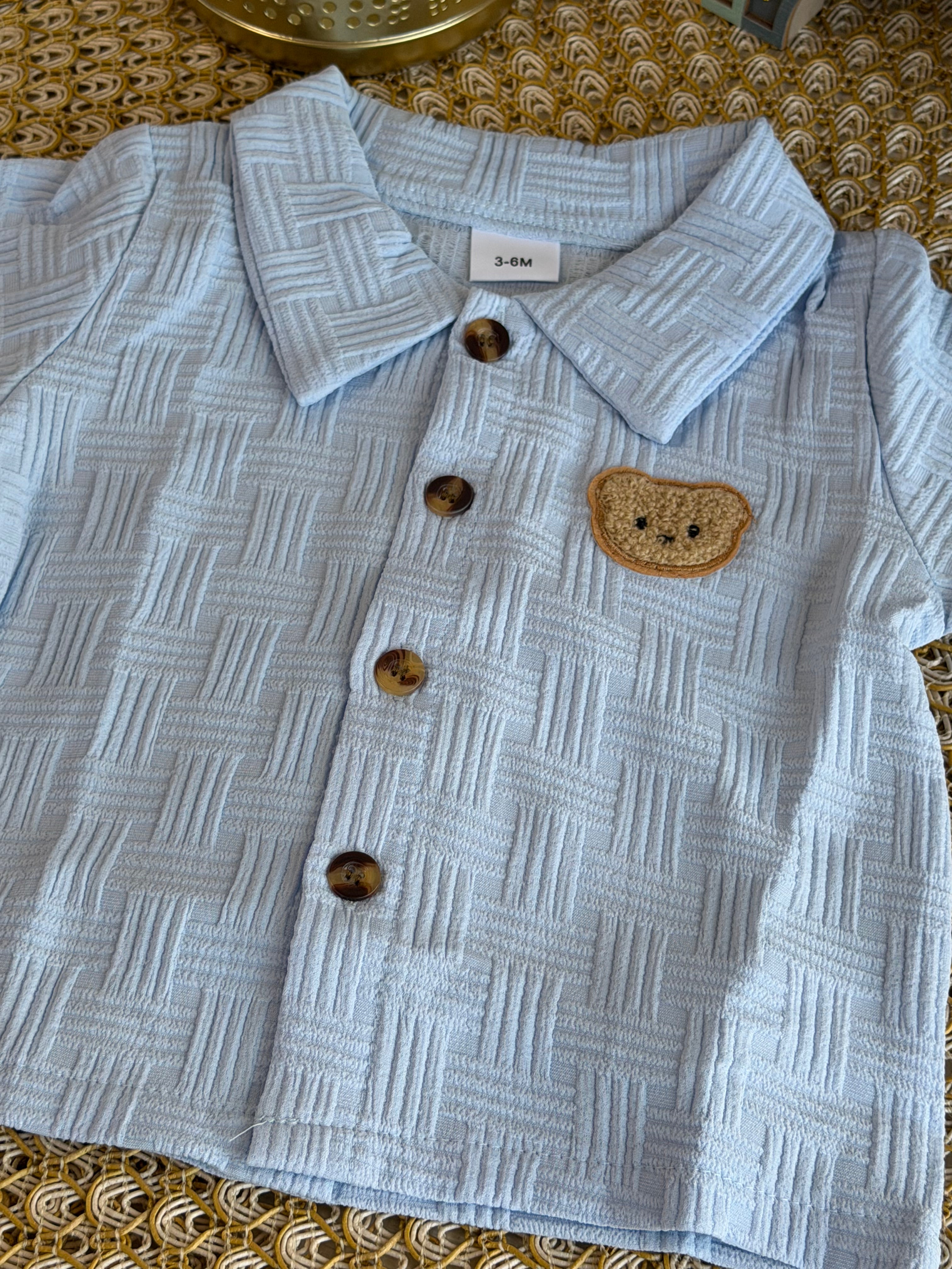 Camisetas de verano con osito