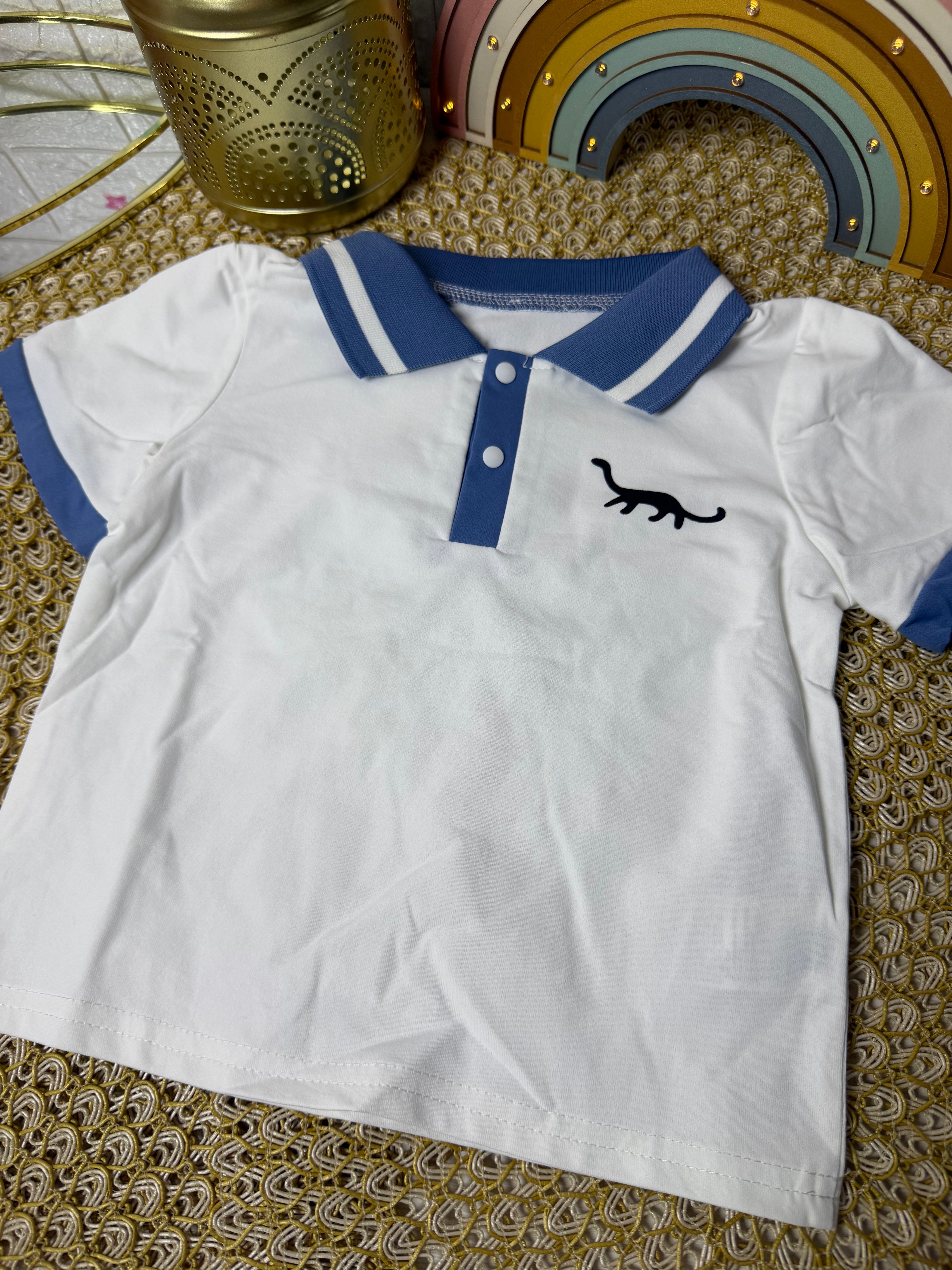 Camisetas dinosaurio